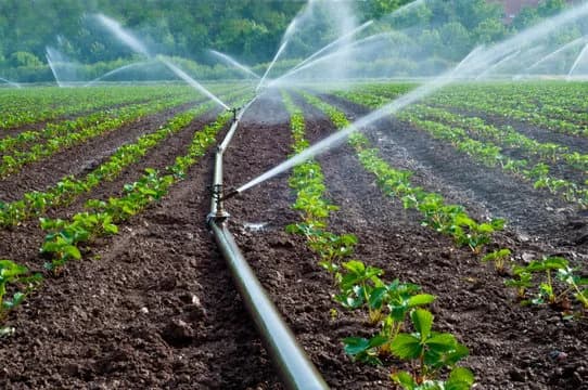 Agriculrure Image